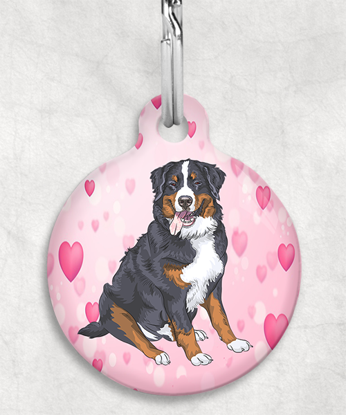 berner-sennen-zonder-naam-huisdierpenning-hartjes