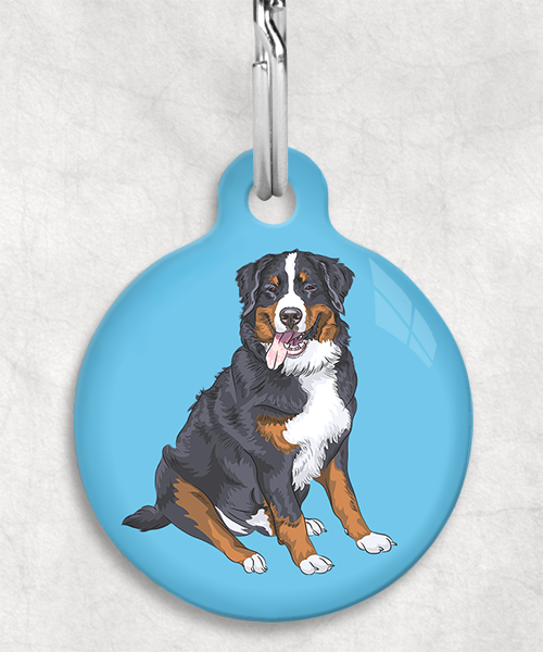 berner-sennen-zonder-naam-huisdierpenning-lichtblauw