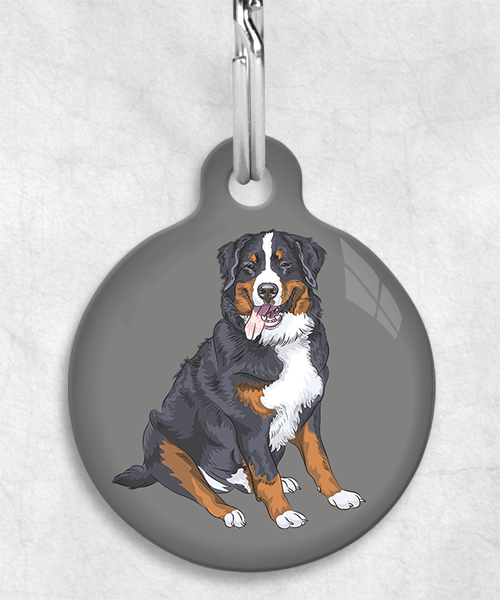 berner-sennen-zonder-naam-huisdierpenning-lichtgrijs