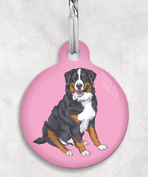 berner-sennen-zonder-naam-huisdierpenning-lichtroze
