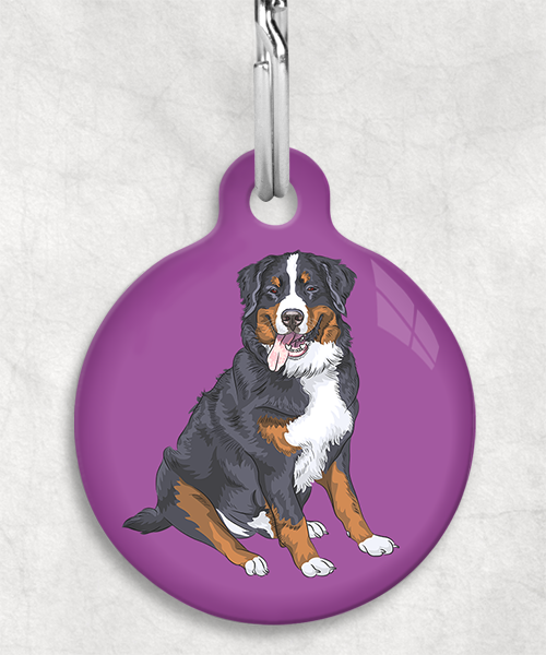 berner-sennen-zonder-naam-huisdierpenning-lilla