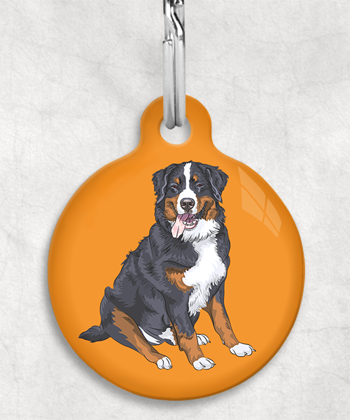 berner-sennen-zonder-naam-huisdierpenning-oranje
