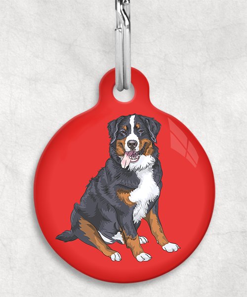 berner-sennen-zonder-naam-huisdierpenning-rood