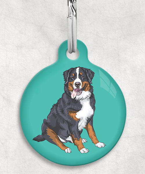 berner-sennen-zonder-naam-huisdierpenning-turquoise