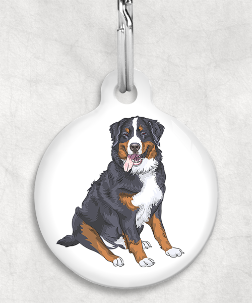 berner-sennen-zonder-naam-huisdierpenning-wit