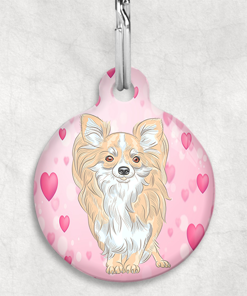 chihuahua-beige-langhaar-zonder-naam-huisdierpenning-hartjes