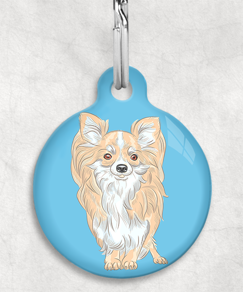 chihuahua-beige-langhaar-zonder-naam-huisdierpenning-lichtblauw