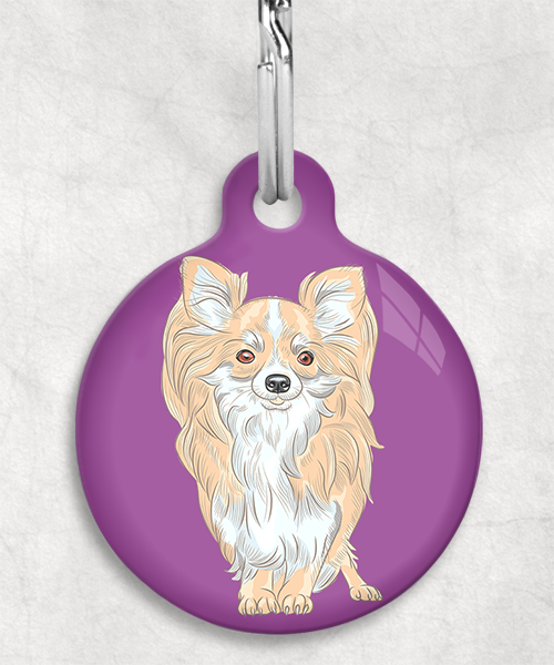 chihuahua-beige-langhaar-zonder-naam-huisdierpenning-lilla