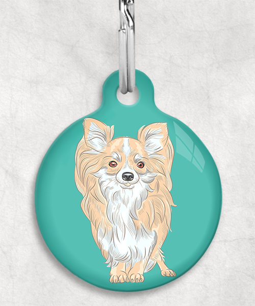chihuahua-beige-langhaar-zonder-naam-huisdierpenning-turquoise