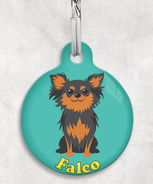 chihuahua-langhaar-black-tan-naam-los-huisdierpenning-turquoise