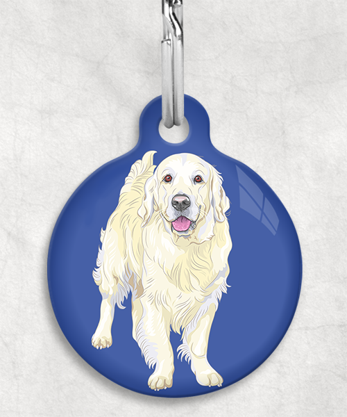 golden-retriever-beige-zonder-naam-huisdierpenning-blauw