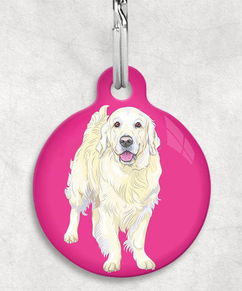 golden-retriever-beige-zonder-naam-huisdierpenning-fushia