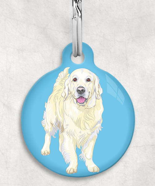 golden-retriever-beige-zonder-naam-huisdierpenning-lichtblauw