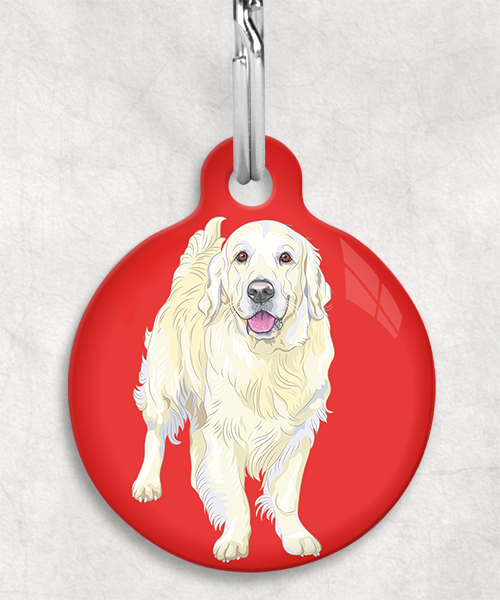 golden-retriever-beige-zonder-naam-huisdierpenning-rood