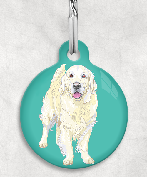 golden-retriever-beige-zonder-naam-huisdierpenning-turquoise