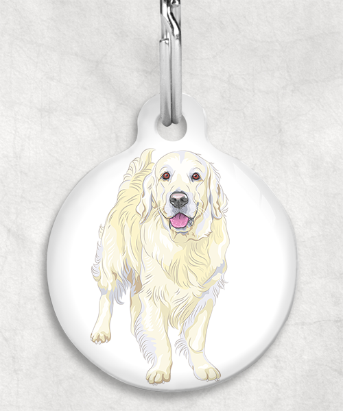 golden-retriever-beige-zonder-naam-huisdierpenning-wit