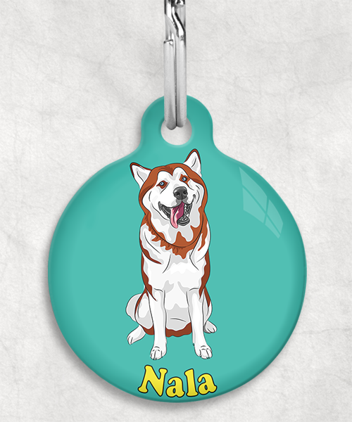 husky-bruin-naam-los-huisdierpenning-turquoise