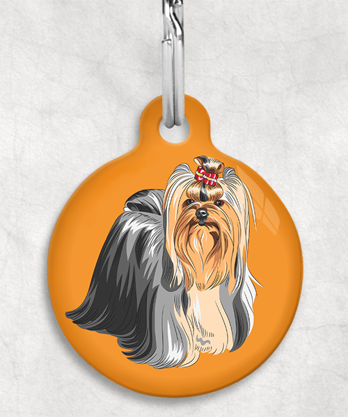 yor-shire-terier-staand-freepik-zonder-naam-huisdierpenning-oranje