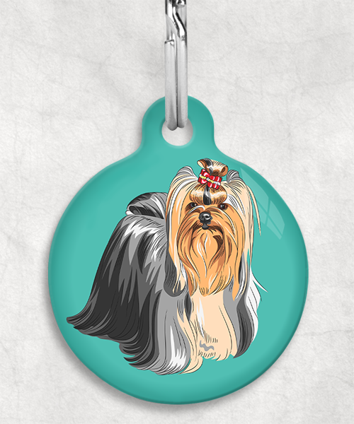 yor-shire-terier-staand-freepik-zonder-naam-huisdierpenning-turquoise
