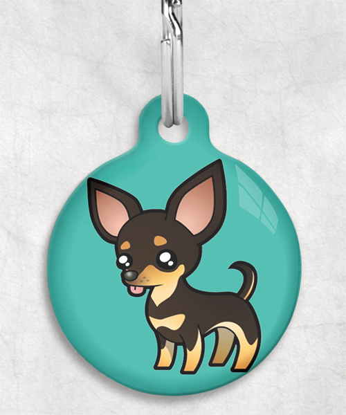 100093-chihuahua-donkerbruin-zonder-naam-huisdierpenning-turquoise