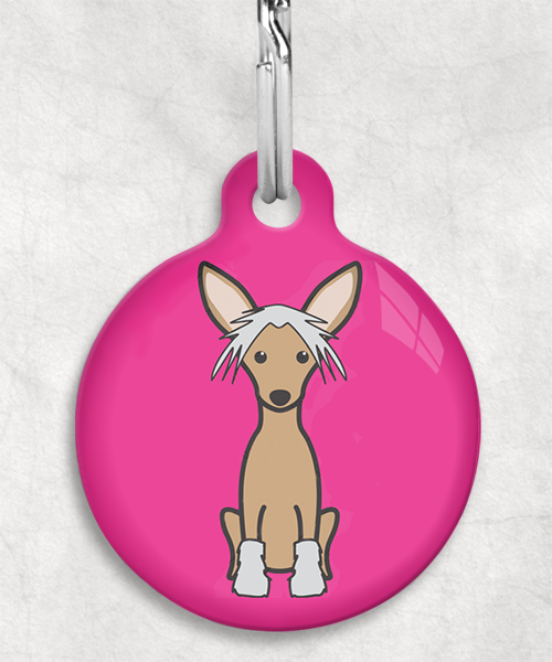 100108-chinese-crested-bruin-zonder-naam-huisdierpenning-fushia