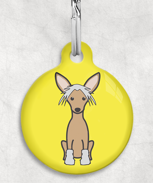 100108-chinese-crested-bruin-zonder-naam-huisdierpenning-geel