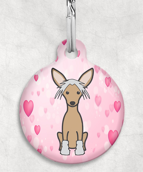 100108-chinese-crested-bruin-zonder-naam-huisdierpenning-hartjes