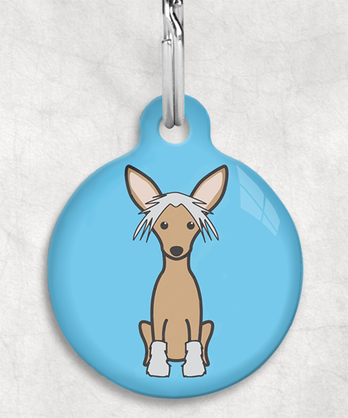 100108-chinese-crested-bruin-zonder-naam-huisdierpenning-lichtblauw