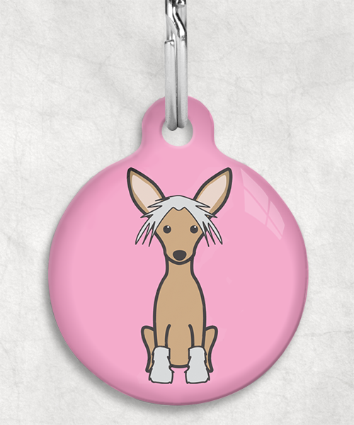 100108-chinese-crested-bruin-zonder-naam-huisdierpenning-lichtroze