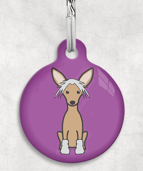 100108-chinese-crested-bruin-zonder-naam-huisdierpenning-lilla