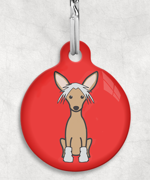 100108-chinese-crested-bruin-zonder-naam-huisdierpenning-rood