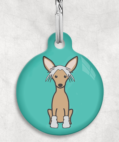 100108-chinese-crested-bruin-zonder-naam-huisdierpenning-turquoise