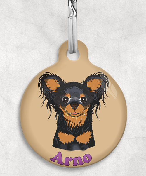 100121-rusissche-toy-terrier-zwart-naam-los-huisdierpenning-beige