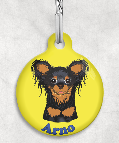 100121-rusissche-toy-terrier-zwart-naam-los-huisdierpenning-geel