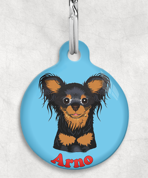 100121-rusissche-toy-terrier-zwart-naam-los-huisdierpenning-lichtblauw