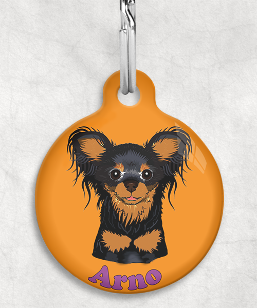 100121-rusissche-toy-terrier-zwart-naam-los-huisdierpenning-oranje