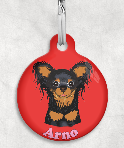 100121-rusissche-toy-terrier-zwart-naam-los-huisdierpenning-rood