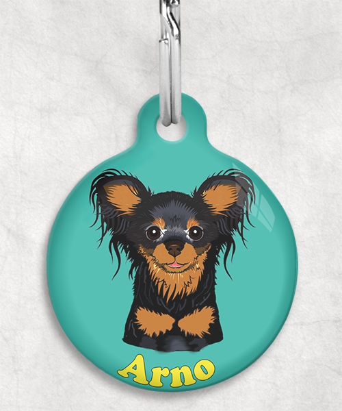 100121-rusissche-toy-terrier-zwart-naam-los-huisdierpenning-turquoise