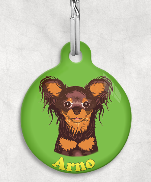 100122-russische-terrier-bruin-naam-los-huisdierpenning-groen