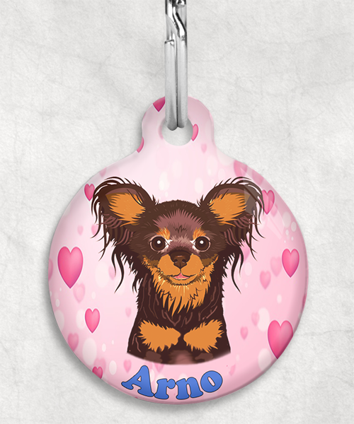 100122-russische-terrier-bruin-naam-los-huisdierpenning-hartjes