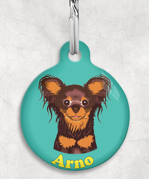 100122-russische-terrier-bruin-naam-los-huisdierpenning-turquoise