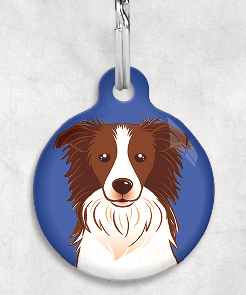 bordercollie-bruin-zonder-naam-huisdierpenning-blauw