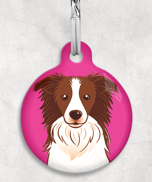 bordercollie-bruin-zonder-naam-huisdierpenning-fushia