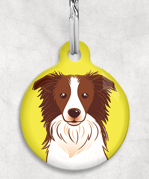 bordercollie-bruin-zonder-naam-huisdierpenning-geel