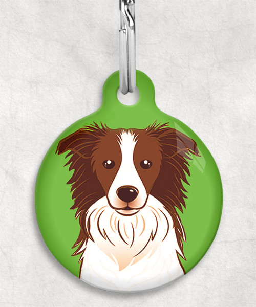 bordercollie-bruin-zonder-naam-huisdierpenning-groen