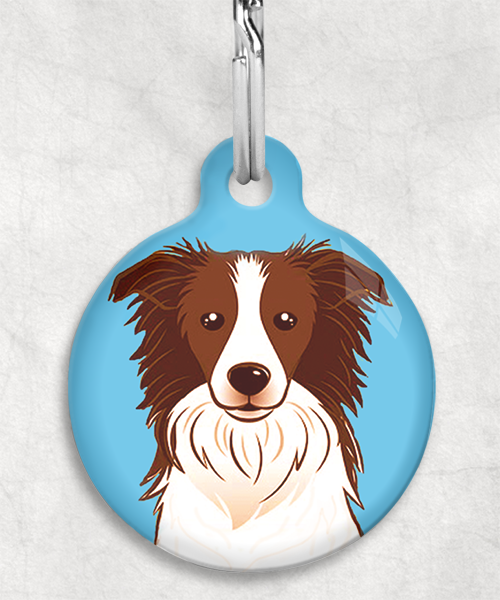 bordercollie-bruin-zonder-naam-huisdierpenning-lichtblauw