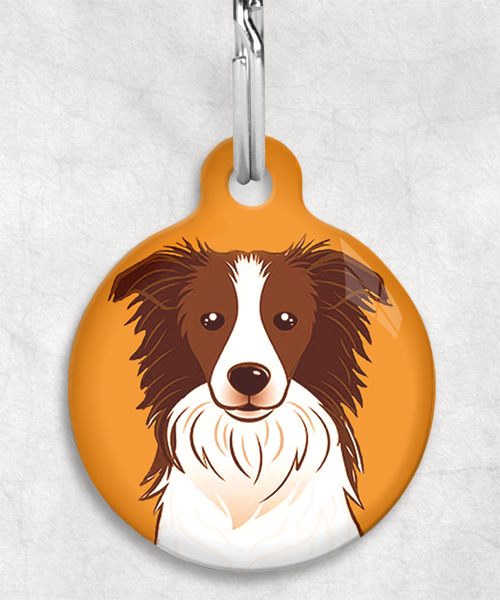 bordercollie-bruin-zonder-naam-huisdierpenning-oranje