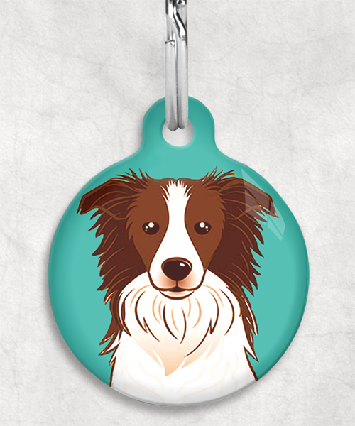 bordercollie-bruin-zonder-naam-huisdierpenning-turquoise