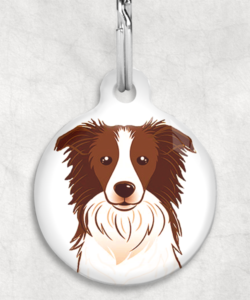 bordercollie-bruin-zonder-naam-huisdierpenning-wit