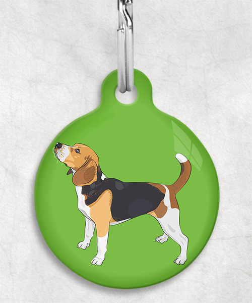 beagle-staand-freepik-zonder-naam-huisdierpenning-groen